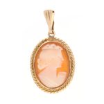 9Carat Yellow Gold Cameo Pendant (15x19mm)